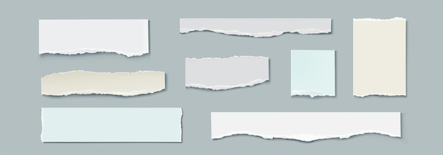 Strips of Torn Paper Realistic Vector Illustration Set for Text Frame or Border