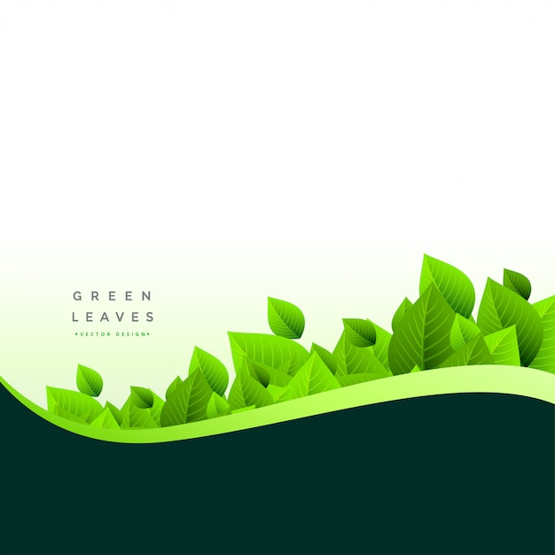 Free vector stylish green leaves eco background