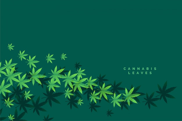 Vettore gratuito elegante marijuana e cannbis foglie galleggianti sullo sfondo