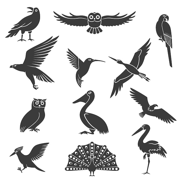 Набор силуэтов стилизованных птиц черный