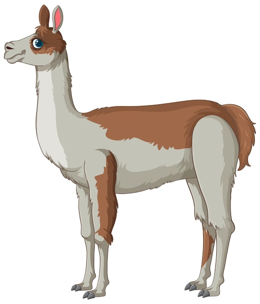 Free vector stylized vector illustration of llama