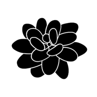 인쇄 및 디자인에 대 한 간단한 스타일 벡터 일러스트 레이 션 사막 꽃에 즙이 많은 echeveria