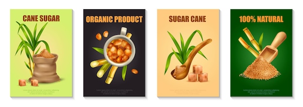 Sugar cane realistic poster set with organic production symbols isolated illustration