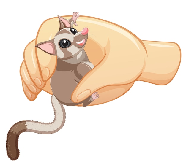 Free vector sugar glider in human hand