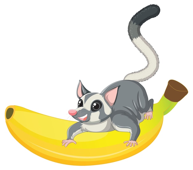 Free vector sugar glider sitting on banana