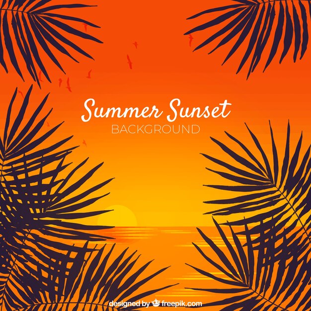 Summer background with silhouette of palm trees