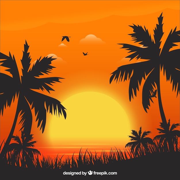 Summer background with sunset and palm trees