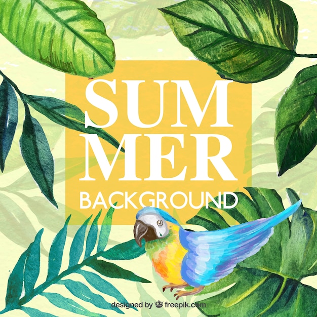 Summer background with tropical theme