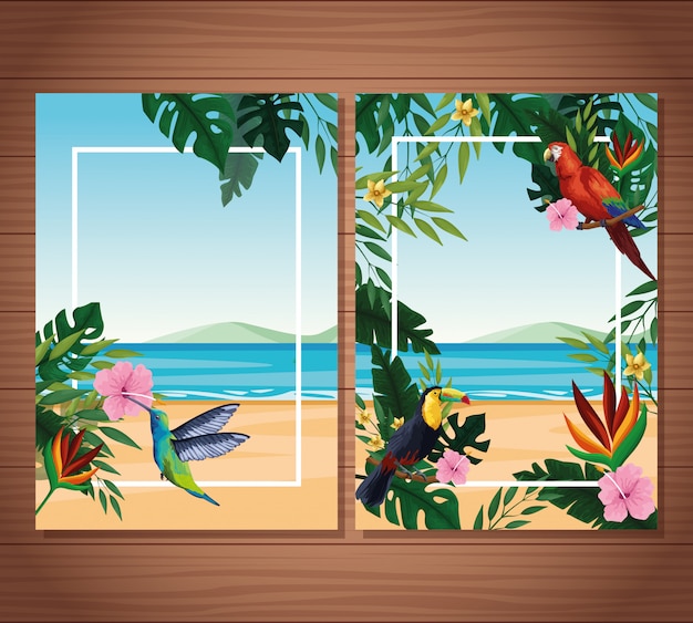 Free vector summer blank cards with frame