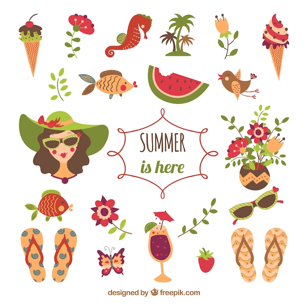 summer elements illustration