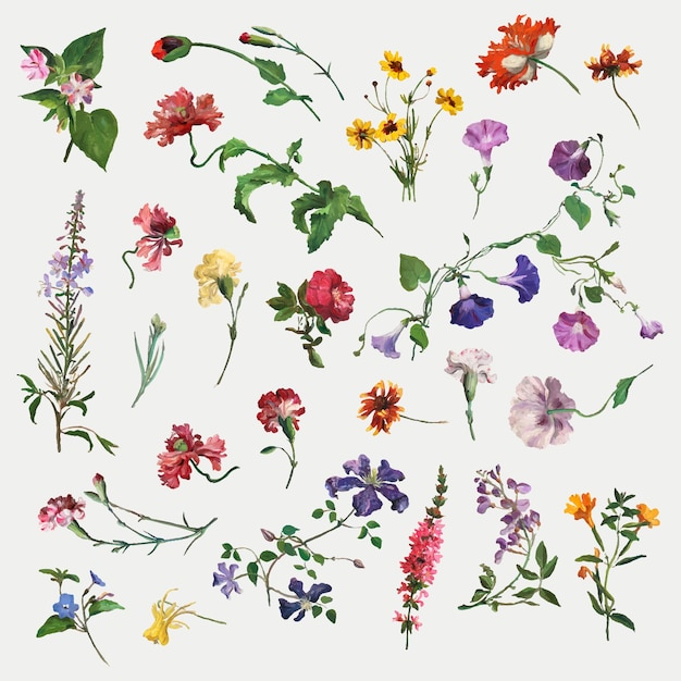 Jacques-Laurent Agasse의 작품을 리믹스 한 여름 꽃 세트 일러스트