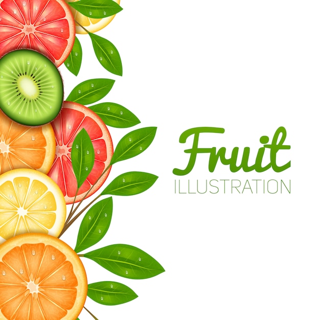 Free vector summer fruit  poster with cut lemon orange grapefruit and kiwi