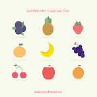 Free vector summer fruits collection