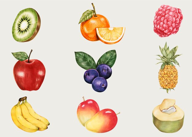Summer fruits vintage vector hand-drawn collection