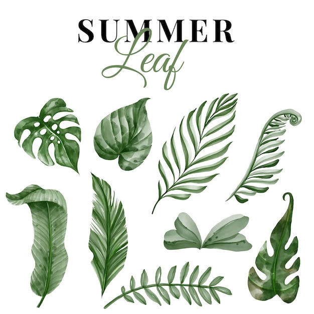 Free vector summer greenery tropical leaf isolated set