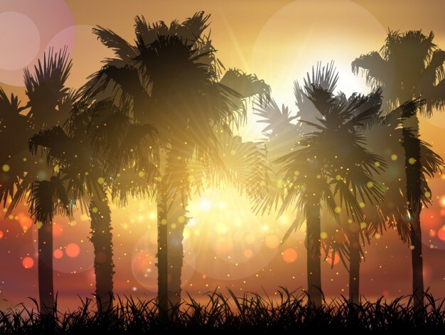 Free vector summer landscape bokeh