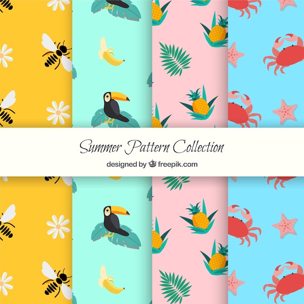 Summer patterns with elements of summer