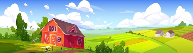 Summer rural landscape with farm barn green field