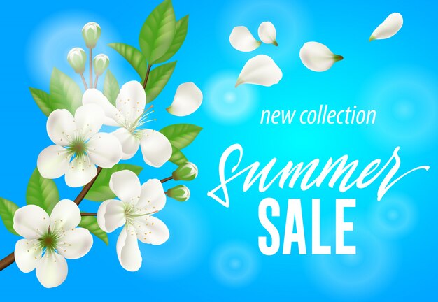 Summer sale new collection banner with white blooming twig on sky blue background.