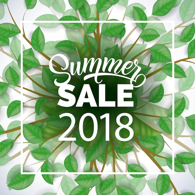 Summer sale twenty eighteen advertising with tree branches and green leaves