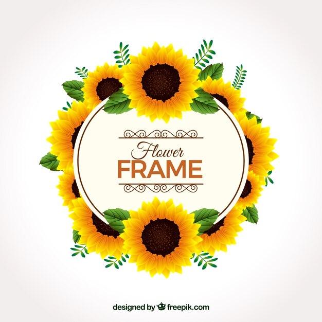 Sunflower frame background