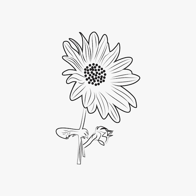 Sunflower line art vector