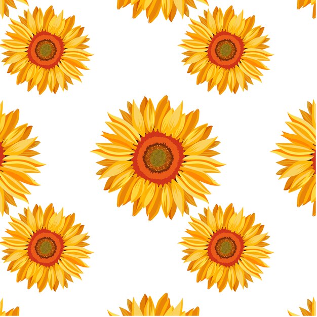 Sunflower pattern background