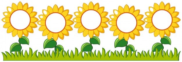 Free vector sunflowers garden with writing space