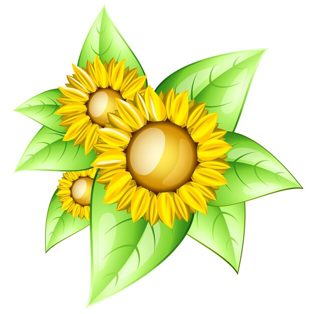 Sunflowers in a glossy style with leaves