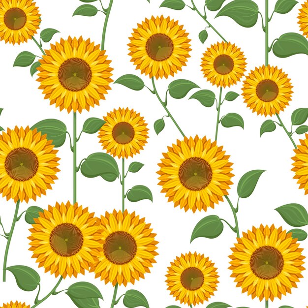 Sunflowers on white background. Sunflower with green leaves seamless pattern illustration