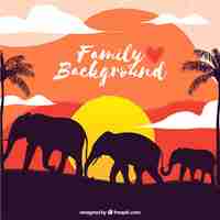 Free vector sunset elephant family background