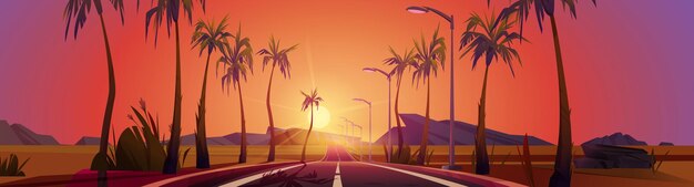 Sunset landscape road with palm trees by sides