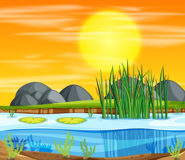 Free vector sunset pond background scene