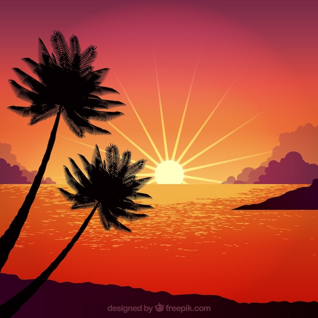 Free vector sunset with palm tree design