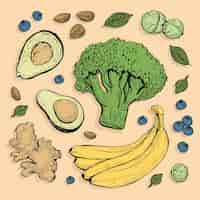 Free vector super food veggies and fruit collection