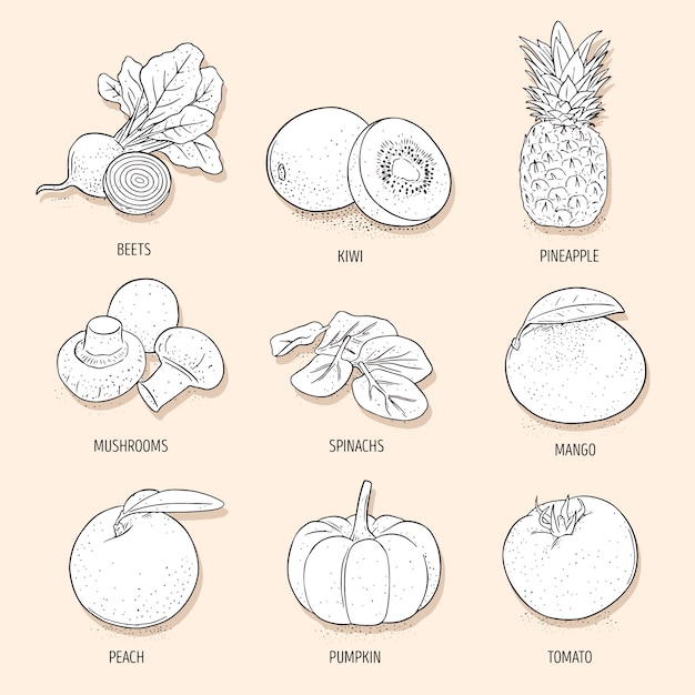 Free vector superfood collection hand drawn design