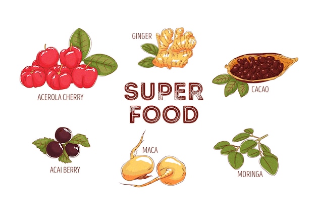 Vettore gratuito collezione superfood