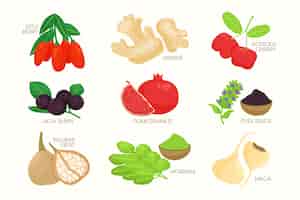 Free vector superfood collection