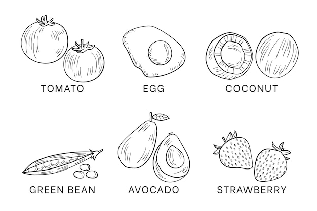 Free vector superfood collection