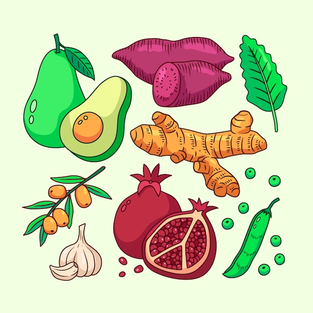 Free vector superfood collection