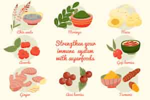 Free vector superfood collection