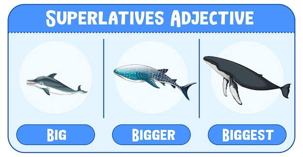 Free vector superlatives adjectives for word big