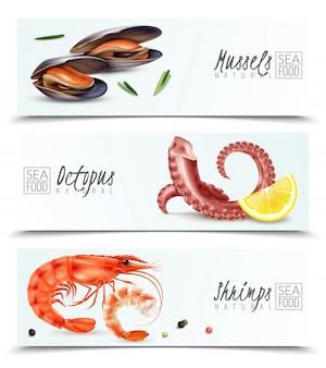 Sustainable seafood choice 3 realistic horizontal banners with mussels shrimps octopus appetizer cocktail ingredients isolated