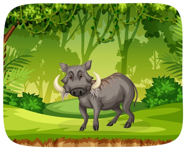 Free vector swine in the jungle