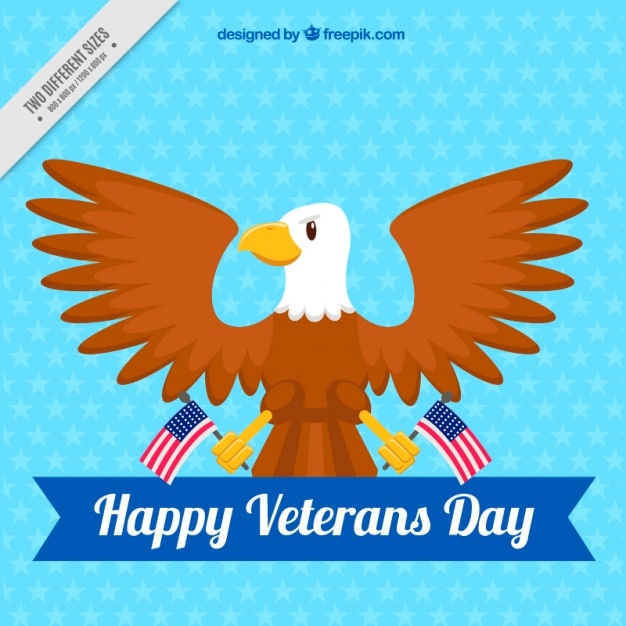 Free vector symbolic celestial background of veterans day