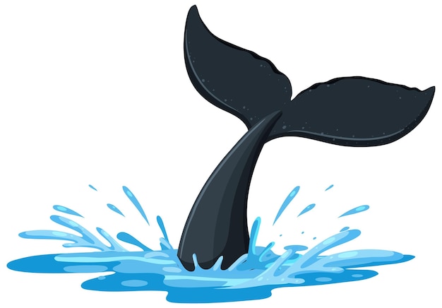 Хвост горбатого кита над водой