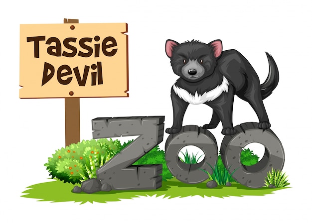 Бесплатное векторное изображение Тасманийский дьявол в зоопарке