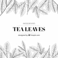 Free vector tea background with leaves