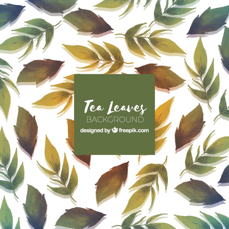 Free Vector tea background with leaves