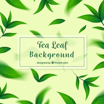 Tea background with leaves